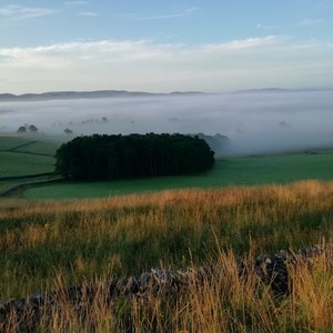 My life's a fable(feat. hm.wav)