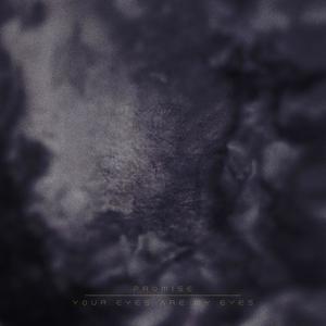 Your Eyes Are My Eyes