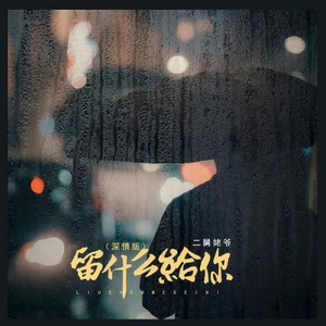 留什么给你 (深情版)