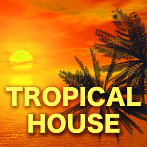 Tropical House – Best Electronic House Music Ever for Parties & Nightlife