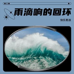 雨停下的涟光封面