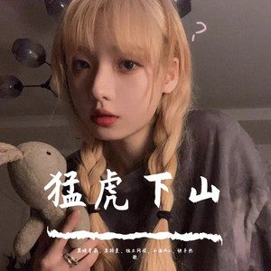 猛虎下山 (2020最新首发DJ版)