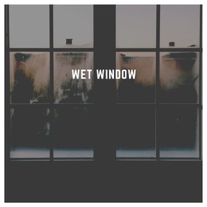 Wet Window