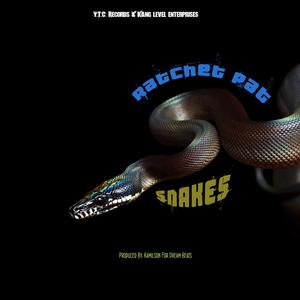 Snakes (Explicit)