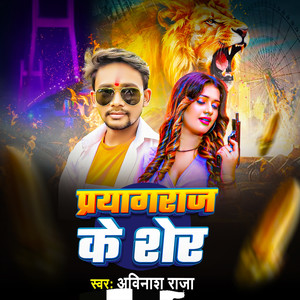 प्रयागराज के शेर