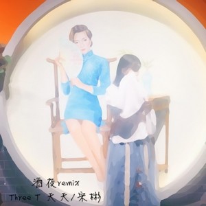 Three T-酒夜 (宋彬 / Three T remix)