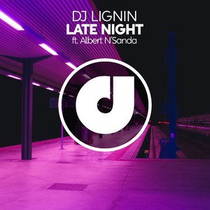 Late Night (Late Mix)