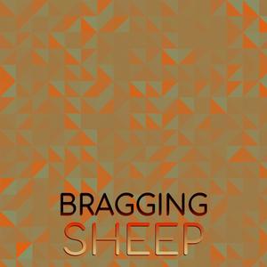 Bragging Sheep