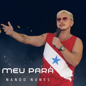 MEU PARÁ