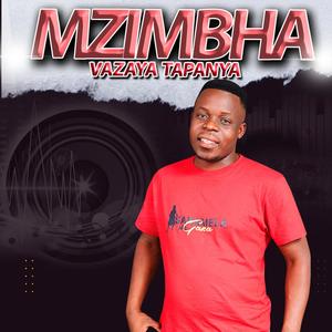 XA NI TSAKISA (feat. RIGY & DJ NGHUNDLA)