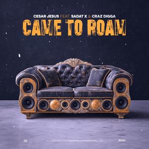 Came To Roam (feat. Sadat X & Craz Digga) (Explicit)