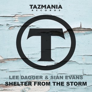 Shelter From The Storm (Instrumental|纯音乐)