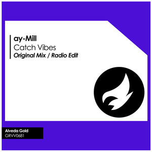 Catch Vibes (Radio Edit)