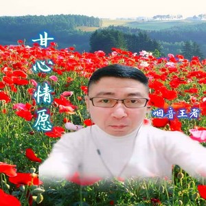 甘心情愿