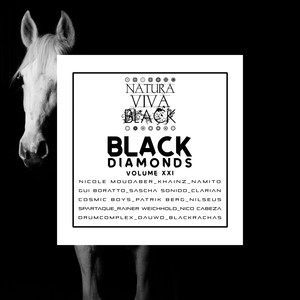 Bells a Go (Sascha Sonido Remix)