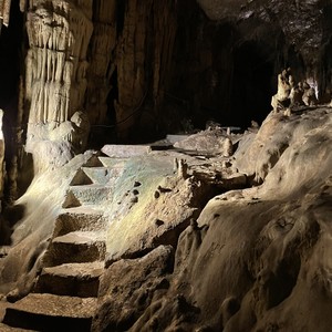 Desperation Room No 4