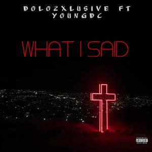 What I Said (feat. Youngdc)