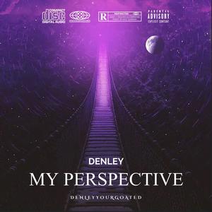 My Perspective (Explicit)