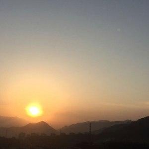 翘首以盼的惊喜