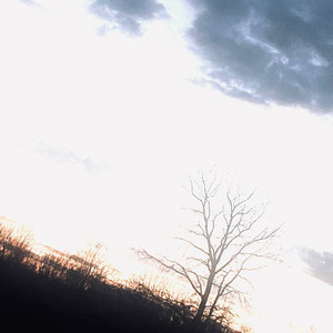 Donteverlistentothis (Explicit)