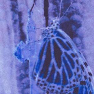 I elbowed a **** in the face to catch the wedding bouquet (Explicit)