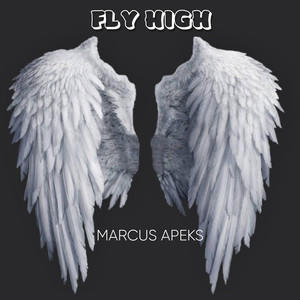 Fly High (Explicit)