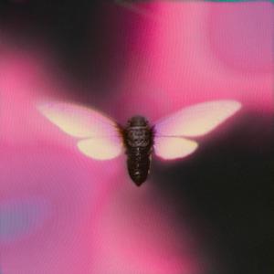 El de antes (Explicit)