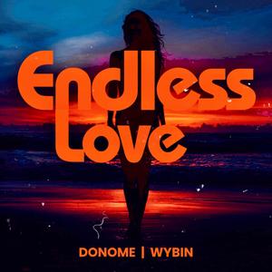 Endless Love (feat. Wybin)