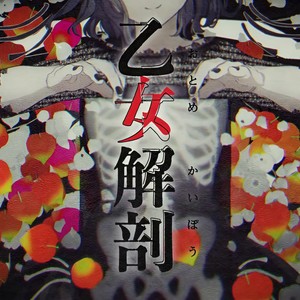 乙女解剖/少女解剖