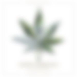 Hotboxen (Explicit)