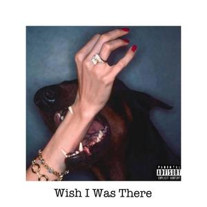 Wish I Was There (Explicit)