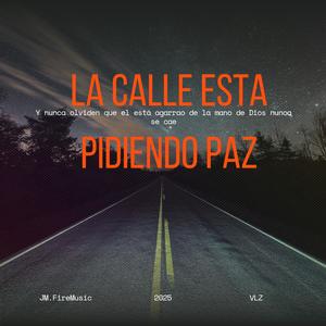 La calle esta pidiendo paz (feat. VLZ)