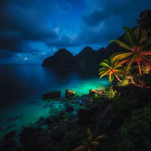 Escape to Paradise