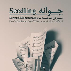 Seedling