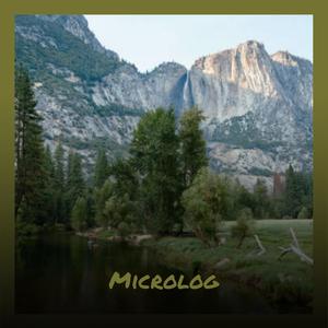 Microlog