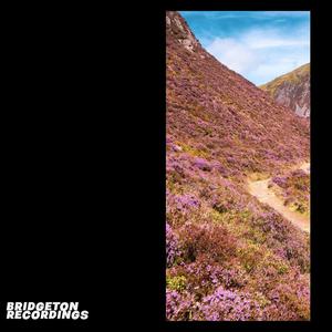 Purple Hills (Explicit)