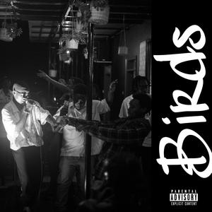 Birds (feat. Matt Travers) (Explicit)