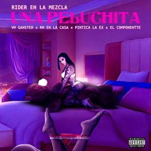 Una Peluchita (Explicit)