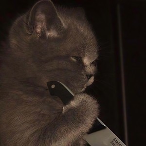 闹？ (Prod.by VanillaParty)