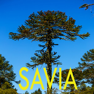 Savia