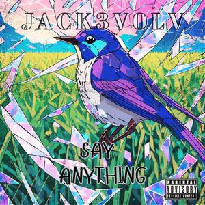 SAY ANYTHING (Explicit)