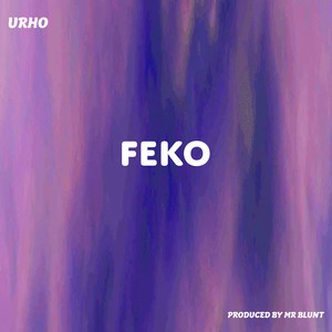 FEKO