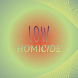 Low Homicide