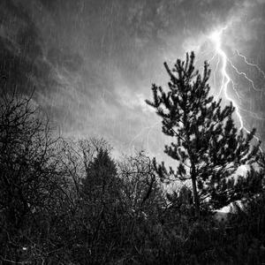 Que Suene La Campanera