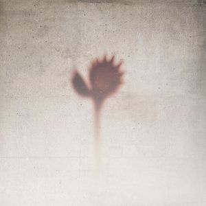 Мир после вчера