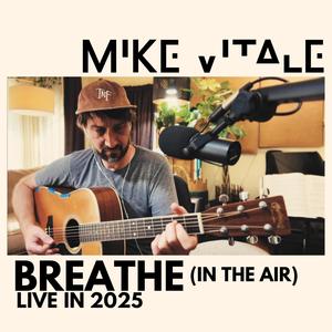 Breathe (In the Air)