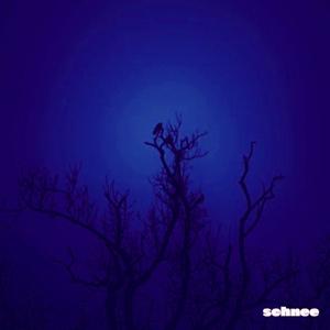 Hummingbird (slowed + reverb)