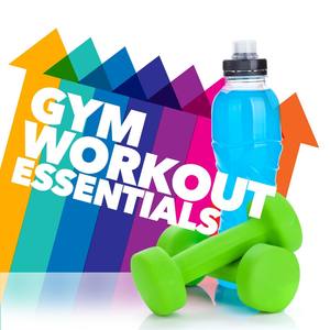 2016 Workout Essentials