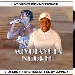 Mivulavula Ngopfu (feat. King Tsonga)