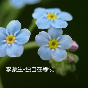 独自在等候 (伴奏)